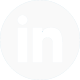 LinkedIn Icon